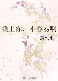 《赖上你，不容易啊》 作者：房七七 txt文件大小：90.3 KB