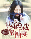 《试婚总裁蜜糖妻》 作者：玉如冰 txt文件大小：1.11 MB