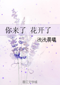 《你来了 花开了》 作者：浅浅晨曦 txt文件大小：357.94 KB