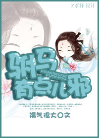 《驸马有点儿邪》 作者：福气很大 txt文件大小：740 KB
