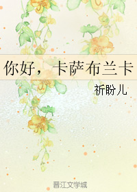 《（网王同人）你好，卡萨布兰卡》 作者：祈盼儿 txt文件大小：236.74 KB