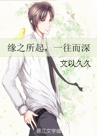 《缘之所起，一往而深》 作者：文以久久 txt文件大小：629.53 KB