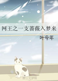 《（网王同人）网王之一支蔷薇入梦来》 作者：叶兮年 txt文件大小：378.34 KB