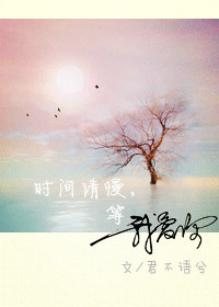 《时间请慢，等我爱你-流水流水账》 作者：君不语兮 txt文件大小：238.69 KB