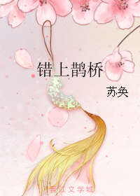 《错上鹊桥》 作者：苏奂 txt文件大小：252.54 KB
