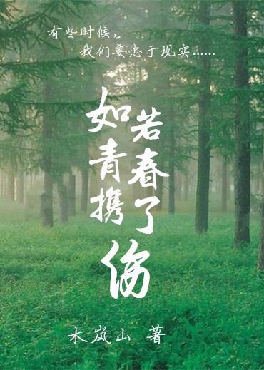 《如若青春携了伤》 作者：木岚山 txt文件大小：249.39 KB