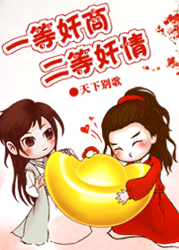 《一等奸商，二等奸情》 作者：天下别歌 txt文件大小：342.12 KB