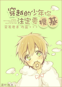 《穿越的少年你注定要搅基》 作者：觅若君寻 txt文件大小：439.7 KB