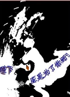 《陛下，臣是为了你好》 作者：言道非道 txt文件大小：241.76 KB