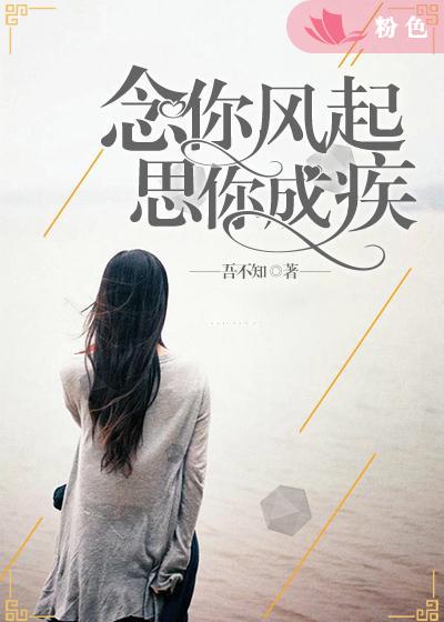 《念你风起，思你成疾》 作者：吾不知 txt文件大小：1.21 MB