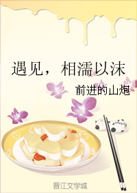 《遇见，相濡以沫》 作者：前进的山炮 txt文件大小：138.56 KB