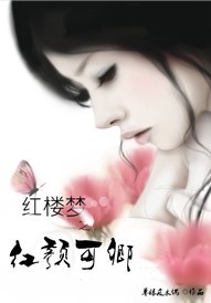 《（红楼同人）红楼梦之红颜管家》 作者：单眼皮木偶 txt文件大小：253.12 KB