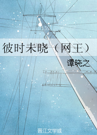 《（网王同人）彼时未晓（网王）》 作者：谭晓之 txt文件大小：39.68 KB