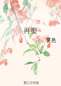《再娶》 作者：夏邑 txt文件大小：111.98 KB