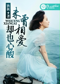 《未曾相爱，却也心酸》 作者：狄秋 txt文件大小：848.21 KB