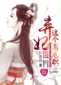 《弃妃这个高危职业》 作者：叶吾心 txt文件大小：1.43 MB