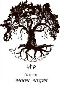 《（hp同人）HP之月夜》 作者：VKinG txt文件大小：1.3 MB