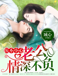 《医不小心①老公，情深不负》 作者：臧心 txt文件大小：1.84 MB