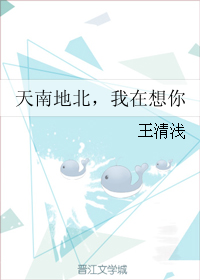 《天南地北，我在想你》 作者：王清浅 txt文件大小：54.42 KB