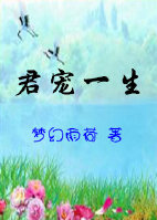 《君宠一生》 作者：梦幻雨荷 txt文件大小：353.89 KB