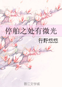 《停舶之处有微光》 作者：行野悠悠 txt文件大小：95.76 KB