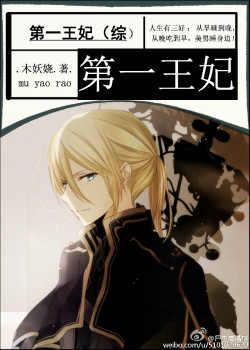 《（综漫同人）第一王妃》 作者：木妖娆 txt文件大小：526.33 KB