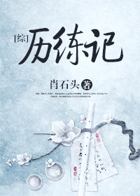 《（综同人）[综]历练记》 作者：肖石头 txt文件大小：846.57 KB