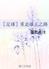 《（足球同人）［足球］重走球王之路》 作者：墨默莫沫 txt文件大小：790.62 KB
