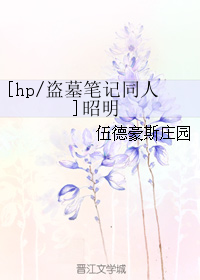 《（综同人）[hp-盗墓笔记]昭明》 作者：伍德豪斯庄园 txt文件大小：529.78 KB
