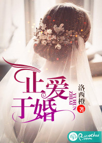 《止爱于婚》 作者：洛西橙 txt文件大小：1.56 MB