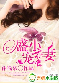 《盛宠小蛮妻》 作者：沐简柒 txt文件大小：977.07 KB