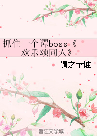 《（欢乐颂同人）抓住一个谭boss》 作者：谓之予谁 txt文件大小：259.34 KB