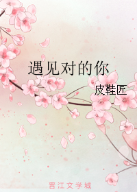 《遇见对的你》 作者：皮鞋匠 txt文件大小：265.27 KB