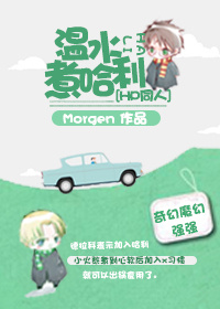 《（HP同人）[HP]温水煮哈利》 作者：Morgen txt文件大小：368.21 KB