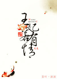 《王妃若有情GL》 作者：景小六 txt文件大小：562.24 KB