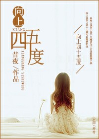 《向上四十五度》 作者：昔夜 txt文件大小：677.6 KB