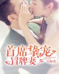 《首席挚宠冒牌妻》 作者：一斤梅 txt文件大小：1.33 MB