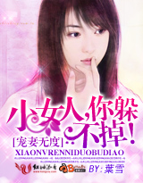 《宠妻无度：小女人，你躲不掉！》 作者：葉雪/叶雪 txt文件大小：1.55 MB