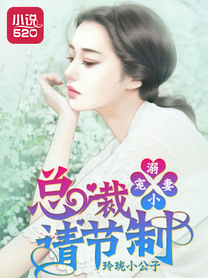 《溺宠小妻：总裁请节制》 作者：玲珑小公子 txt文件大小：2.54 MB