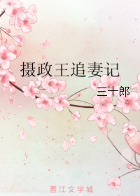 《摄政王追妻记》 作者：三十郎 txt文件大小：245.64 KB