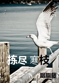 《拣尽寒枝》 作者： txt文件大小：587.42 KB