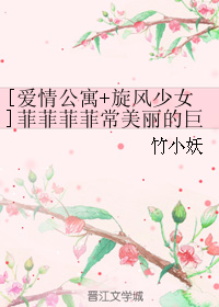 《（综影视同人）[爱情公寓+旋风少女]菲菲菲菲常美丽的巨兔》 作者：竹小妖 txt文件大小：82.25 KB