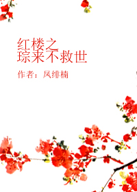 《（红楼同人）红楼之琮来不救世》 作者：凤绯楠 txt文件大小：658.28 KB
