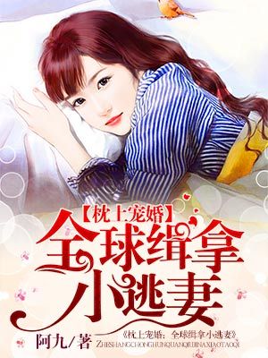《枕上宠婚：全球缉拿小逃妻-枕上宠婚：狼性老公要够了没》 作者：阿九 txt文件大小：1.62 MB