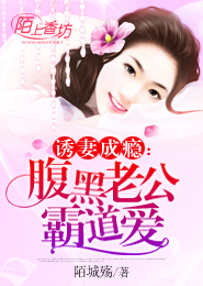 《诱妻成瘾：腹黑老公霸道爱》 作者：陌城殇 txt文件大小：2.12 MB