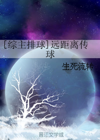 《（综漫同人）[综主排球]远距离传球》 作者：生死流转 txt文件大小：714.75 KB