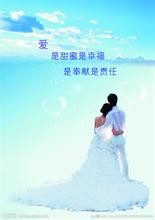 《总裁的极品天使》 作者：响铃女孩 txt文件大小：361.08 KB