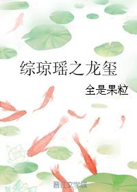 《（综琼瑶同人）综琼瑶之龙玺》 作者：全是果粒 txt文件大小：181.76 KB