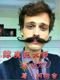 《（综同人）[综]魔药大师与BAU》 作者：阿迦舍 txt文件大小：818.21 KB