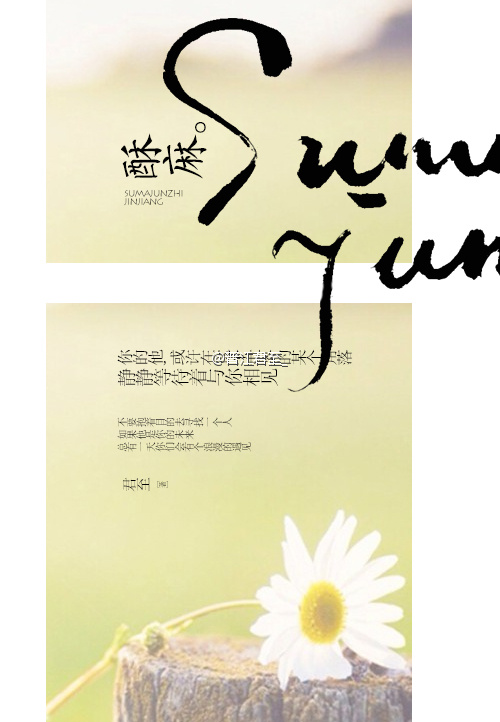 《酥麻》 作者：君至 txt文件大小：249.71 KB